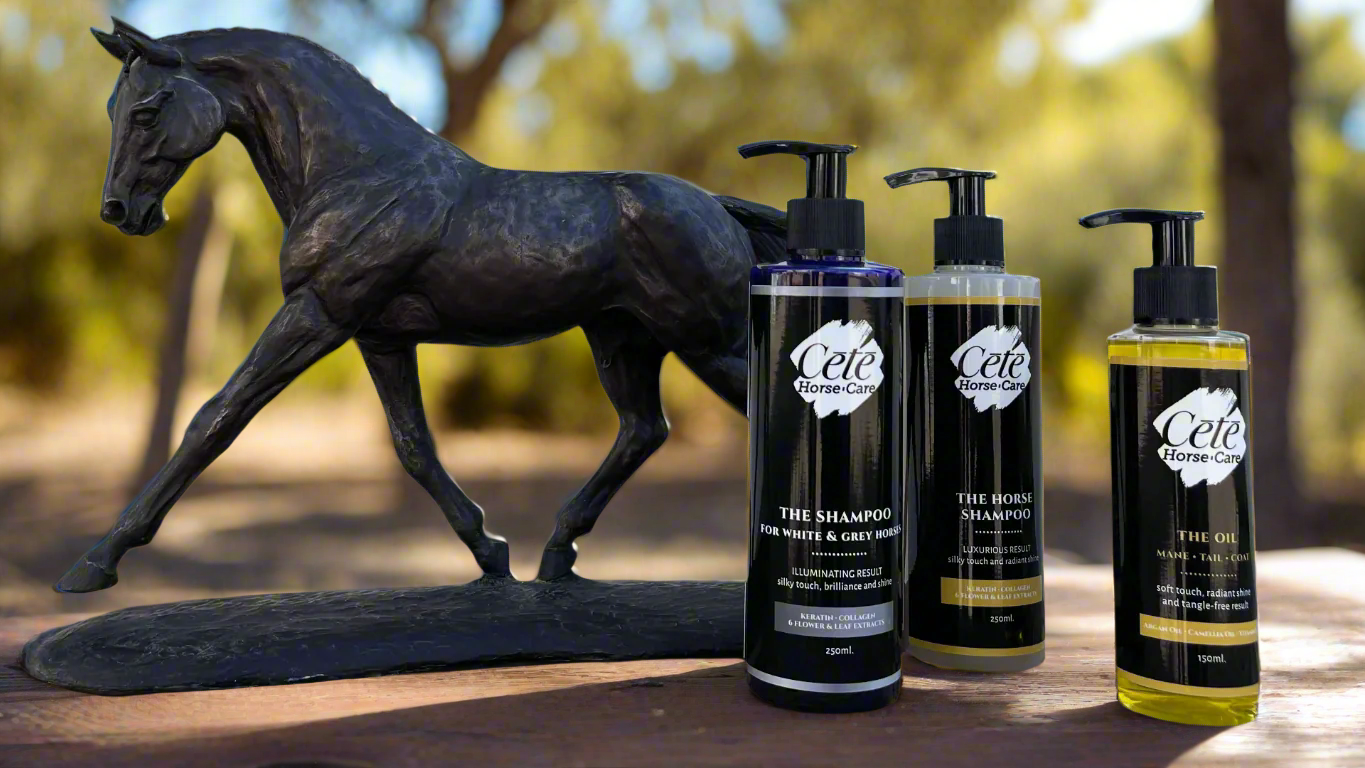Cētē horse care